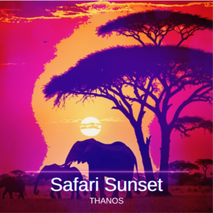 Safari Sunset